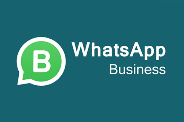 Things you need to know about WhatsApp Business App | Online Biz Solutions